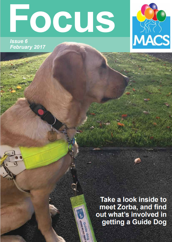 This cover features a close-up of a dog wearing a high‑visibility guide dog training harness. The dog is standing on grass beside a paved path, looking toward the left side of the image. A small section of a person’s arm and leg is visible next to the dog. The top banner is teal with the title “Focus”, the text “Issue 6 Summer 2016”, and the MACS balloon logo. There is also white text on the lower right of the image that reads: “Take a look inside to meet Zorro, and find out what it’s like to be training and getting a Guide Dog”.